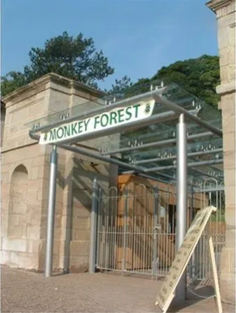 Supported Glass Entrance Feature Monkey Forest Stoke